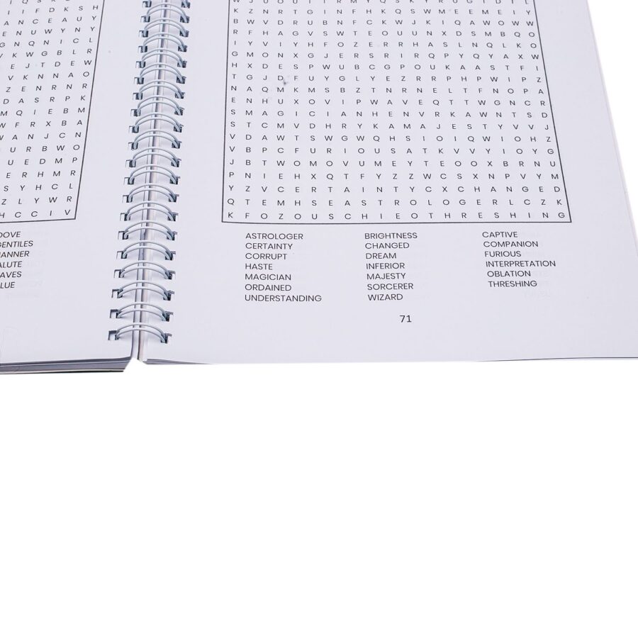 Nigeria Wordsearch Puzzle Book - Image 6